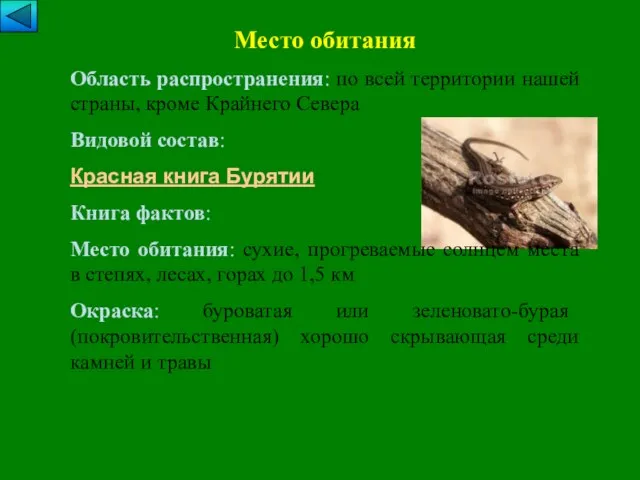 Место обитания Область распространения: по всей территории нашей страны, кроме Крайнего Севера