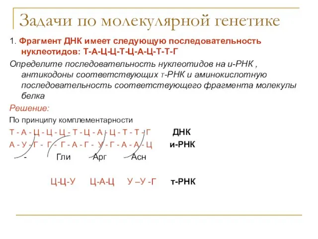 Задачи по молекулярной генетике 1. Фрагмент ДНК имеет следующую последовательность нуклеотидов: Т-А-Ц-Ц-Т-Ц-А-Ц-Т-Т-Г