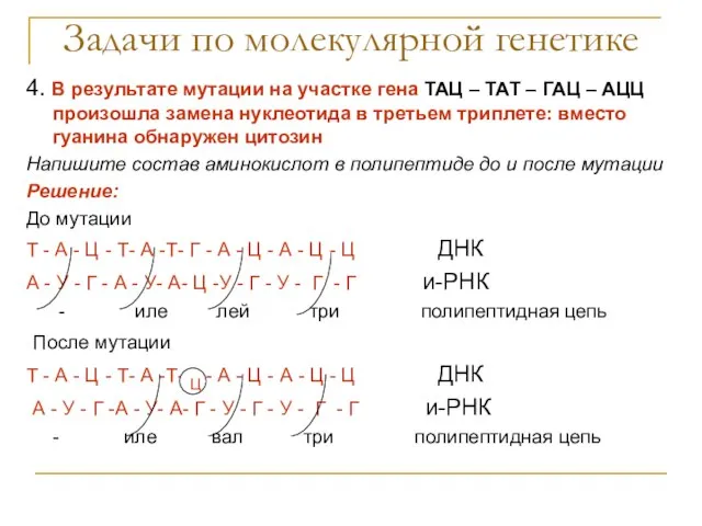 Задачи по молекулярной генетике 4. В результате мутации на участке гена ТАЦ