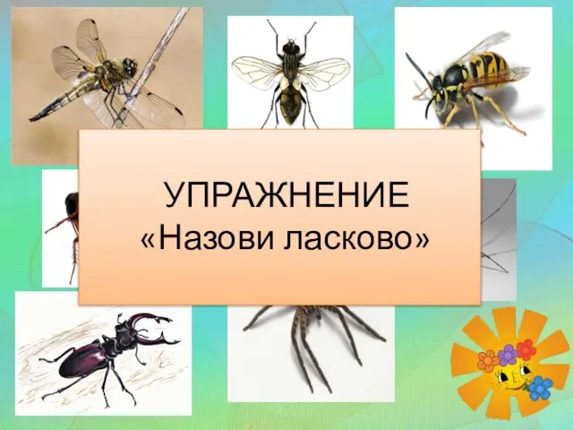 УПРАЖНЕНИЕ «Назови ласково»