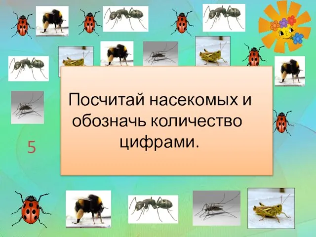 5 6 3 2 4 Посчитай насекомых и обозначь количество цифрами.