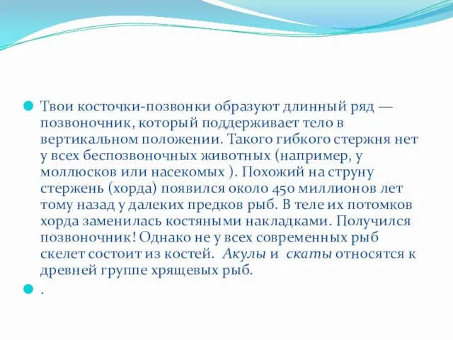 Твои косточки-позвонки образуют длинный ряд — позвоночник, который поддерживает тело в вертикальном