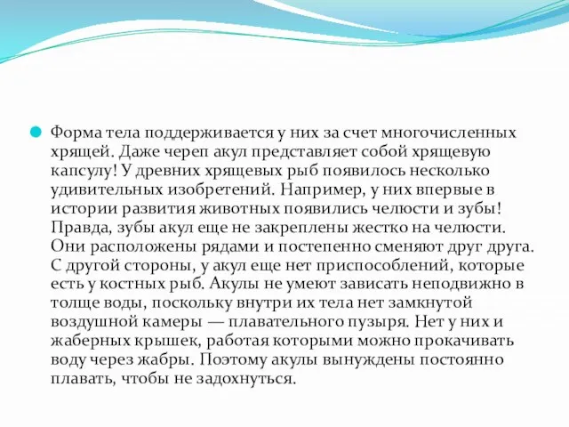 Форма тела поддерживается у них за счет многочисленных хрящей. Даже череп акул