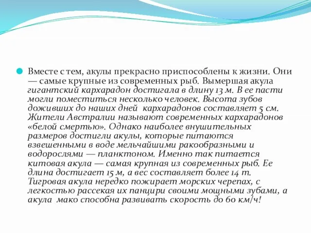 Вместе с тем, акулы прекрасно приспособлены к жизни. Они — самые крупные