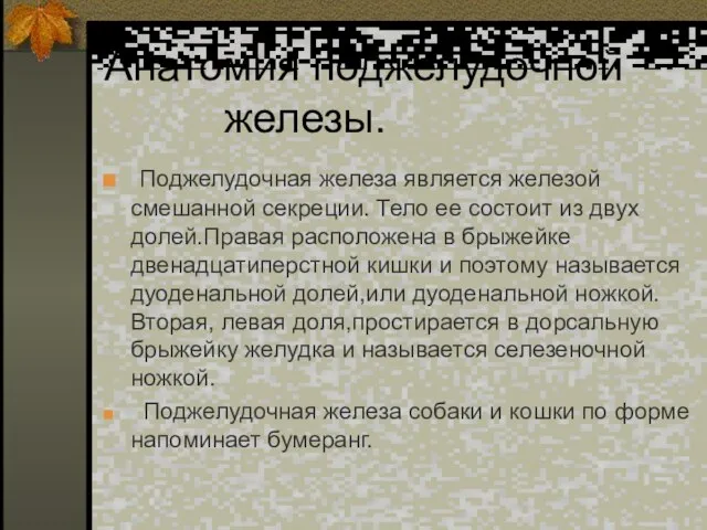 Анатомия поджелудочной железы. Поджелудочная железа является железой смешанной секреции. Тело ее состоит