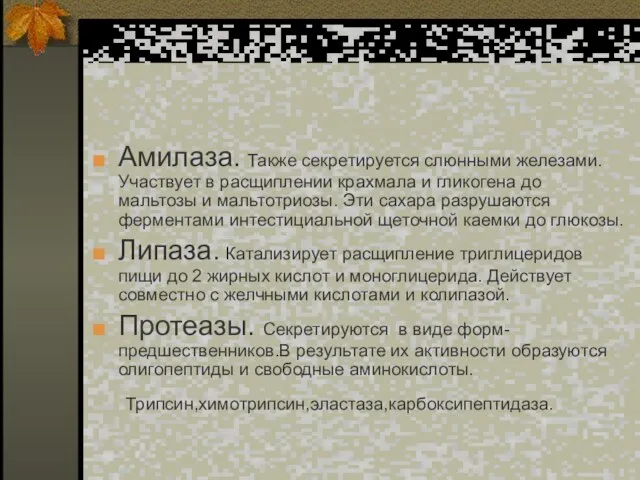 Амилаза. Также секретируется слюнными железами. Участвует в расщиплении крахмала и гликогена до