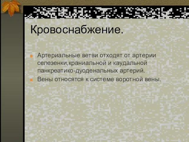 Кровоснабжение. Артериальные ветви отходят от артерии селезенки,краниальной и каудальной панкреатико-дуоденальных артерий. Вены