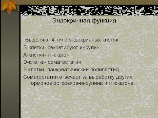 Эндокринная функция. Выделяют 4 типа эндокринных клеток B-клетки- секретируют инсулин А-клетки- глюкагон