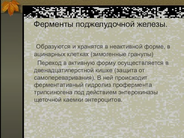 Ферменты поджелудочной железы. Образуются и хранятся в неактивной форме, в ацинарных клетках