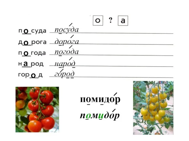 о о о а о посуда дорога погода народ город помидор помидор