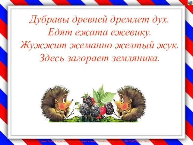 Дубравы древней дремлет дух. Едят ежата ежевику. Жужжит жеманно желтый жук. Здесь загорает земляника.