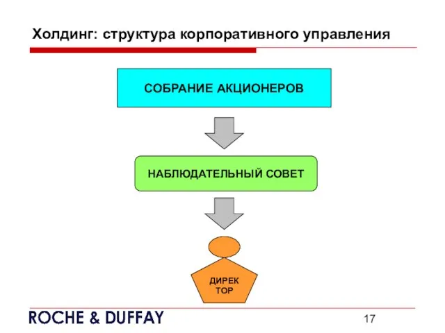 Холдинг: структура корпоративного управления СОБРАНИЕ АКЦИОНЕРОВ НАБЛЮДАТЕЛЬНЫЙ СОВЕТ ДИРЕКТОР