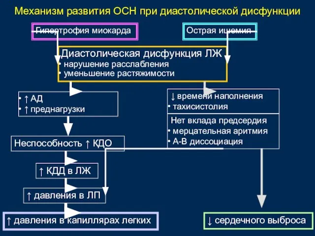 Острая ишемия Диастолическая дисфункция ЛЖ нарушение расслабления уменьшение растяжимости ↑ КДД в