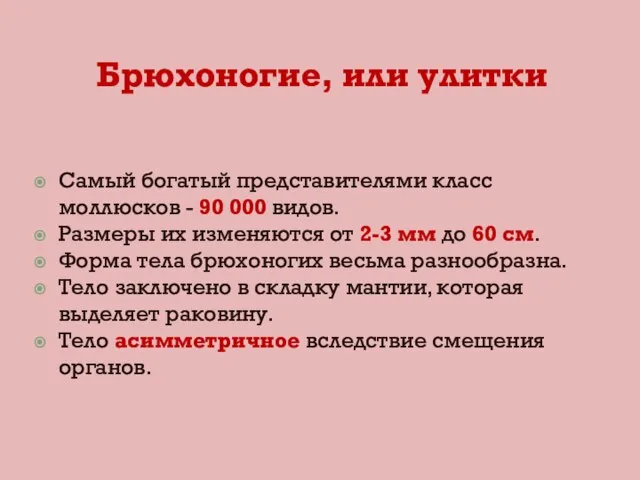 Брюхоногие, или улитки Самый богатый представителями класс моллюсков - 90 000 видов.