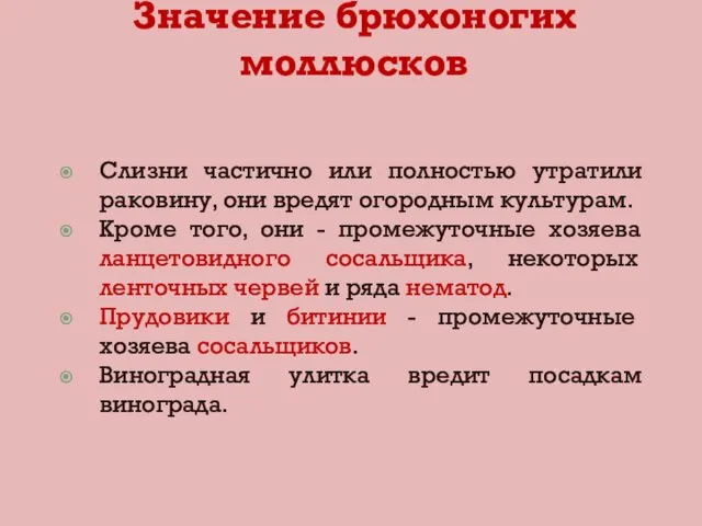 Слизни частично или полностью утратили раковину, они вредят огородным культурам. Кроме того,