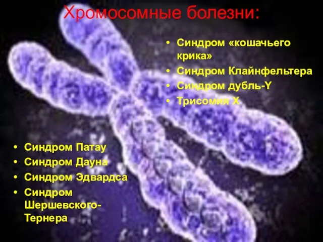 Хромосомные болезни: Синдром Патау Синдром Дауна Синдром Эдвардса Синдром Шершевского-Тернера Синдром «кошачьего