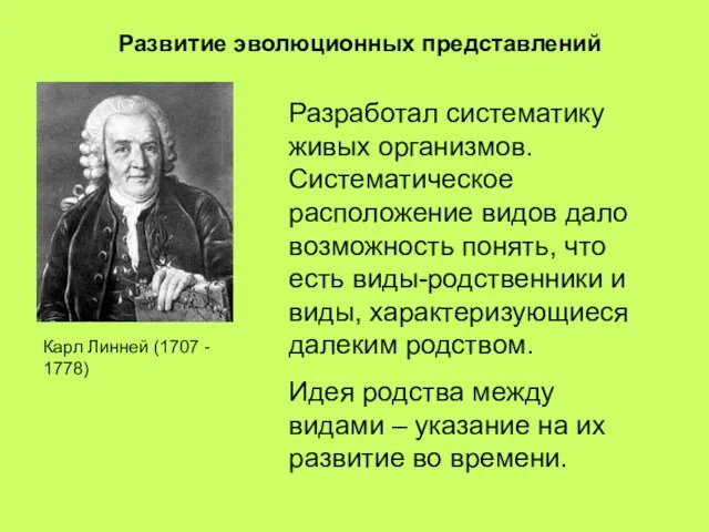 Развитие эволюционных представлений Разработал систематику живых организмов. Систематическое расположение видов дало возможность