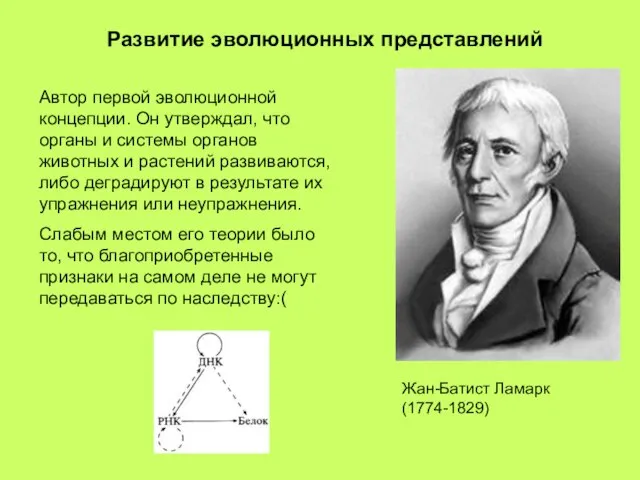 Жан-Батист Ламарк (1774-1829) Автор первой эволюционной концепции. Он утверждал, что органы и