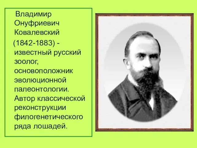 Владимир Онуфриевич Ковалевский (1842-1883) - известный русский зоолог, основоположник эволюционной палеонтологии. Автор