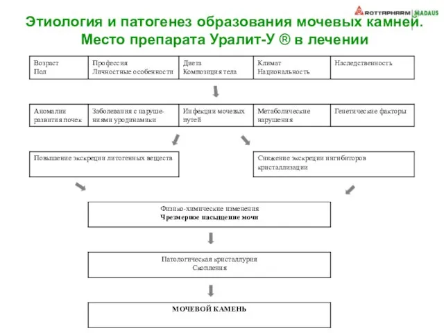 Этиология и патогенез образования мочевых камней. Место препарата Уралит-У ® в лечении