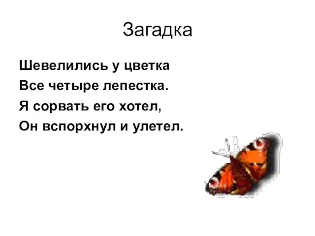 Загадка Шевелились у цветка Все четыре лепестка. Я сорвать его хотел, Он вспорхнул и улетел.