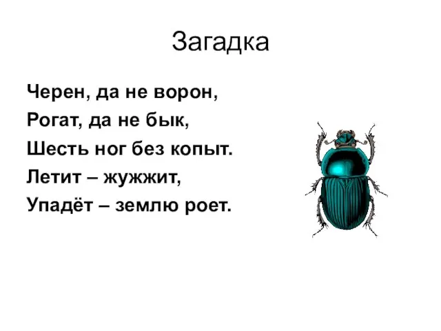 Загадка Черен, да не ворон, Рогат, да не бык, Шесть ног без