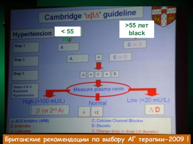 >55 лет black Британские рекомендации по выбору АГ терапии-2009 !