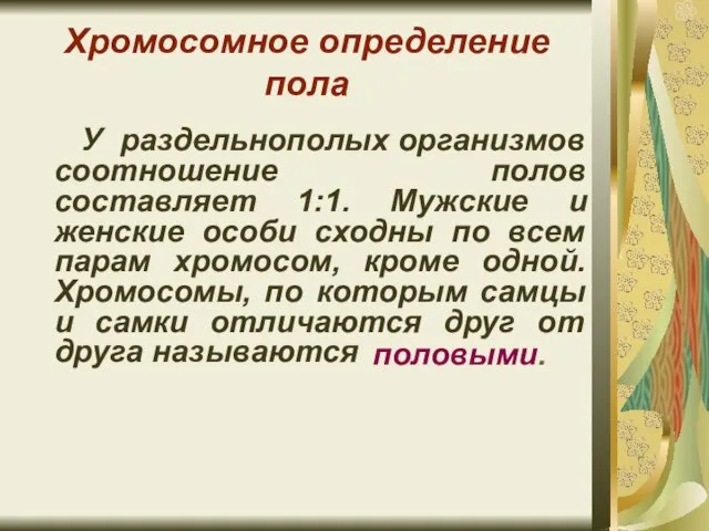 Хромосомное определение пола У раздельнополых организмов соотношение полов составляет 1:1. Мужские и