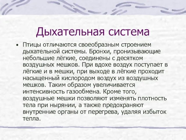 Дыхательная система Птицы отличаются своеобразным строением дыхательной системы. Бронхи, пронизывающие небольшие лёгкие,