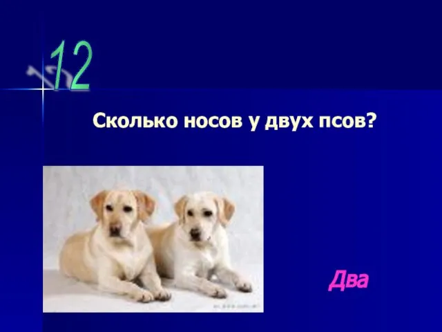 12 Сколько носов у двух псов? Два