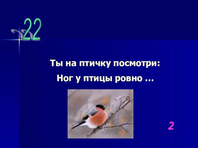22 Ты на птичку посмотри: Ног у птицы ровно … 2