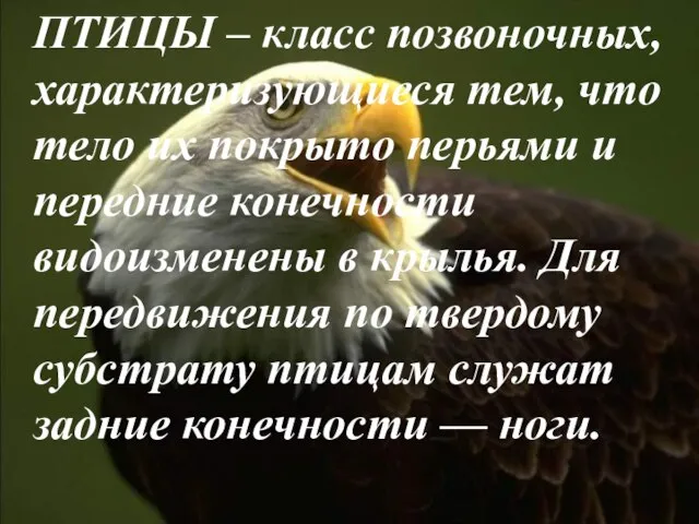 ПТИЦЫ – класс позвоночных, характеризующиеся тем, что тело их покрыто перьями и