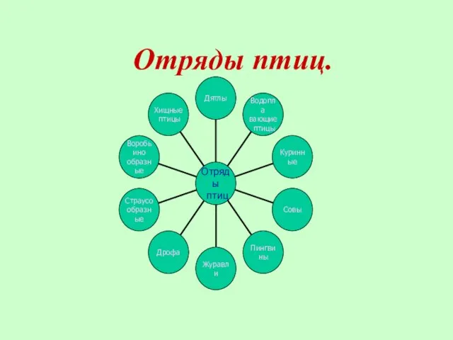 Отряды птиц.