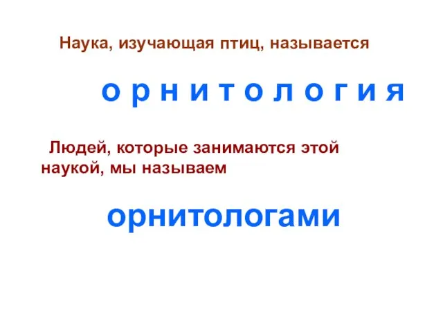 Наука, изучающая птиц, называется о р н и т о л о