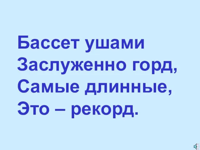 Бассет ушами Заслуженно горд, Самые длинные, Это – рекорд.