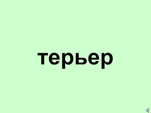 терьер