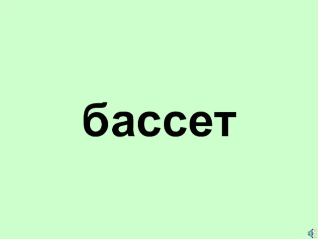 бассет