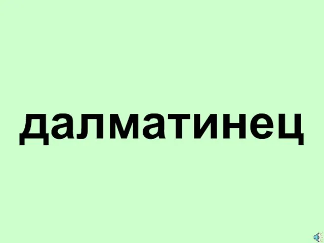 далматинец