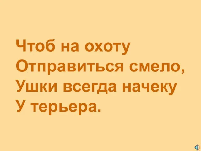 Чтоб на охоту Отправиться смело, Ушки всегда начеку У терьера.