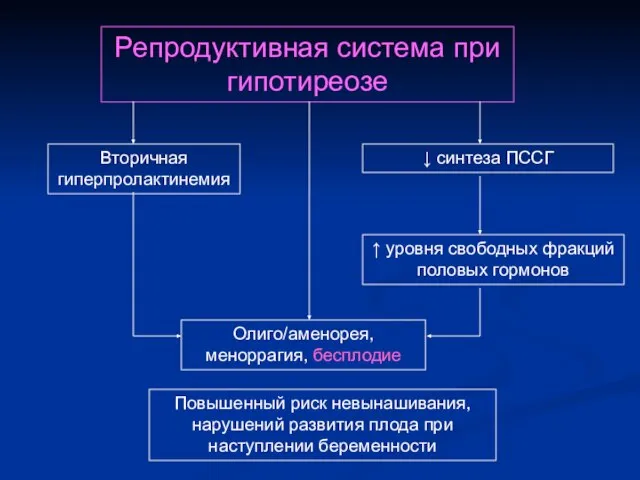 Репродуктивная система при гипотиреозе Олиго/аменорея, меноррагия, бесплодие Вторичная гиперпролактинемия Повышенный риск невынашивания,