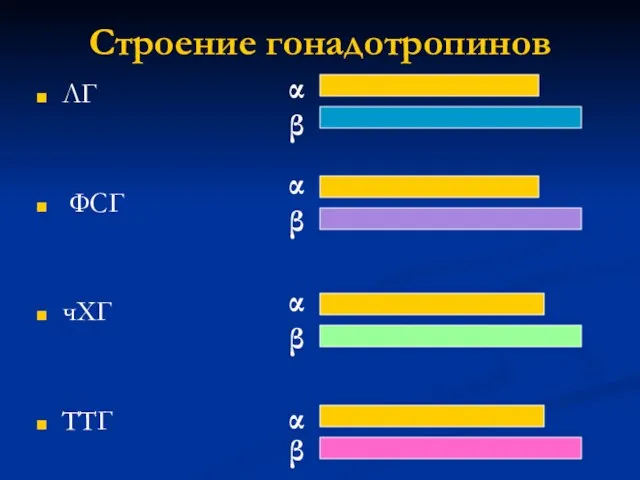 Строение гонадотропинов ЛГ ФСГ чХГ ТТГ α β α α α β β β