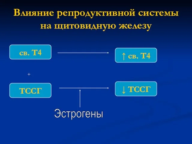 Влияние репродуктивной системы на щитовидную железу ↓ ТССГ ↑ св. Т4 Эстрогены ТССГ св. Т4 +