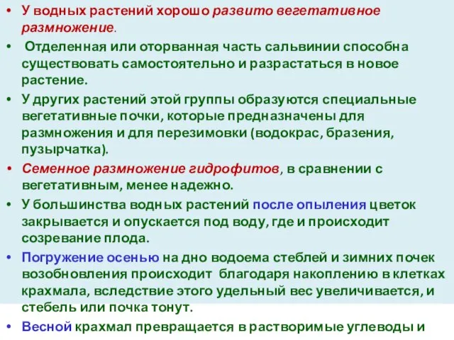 У водных растений хорошо развито вегетативное размножение. Отделенная или оторванная часть сальвинии