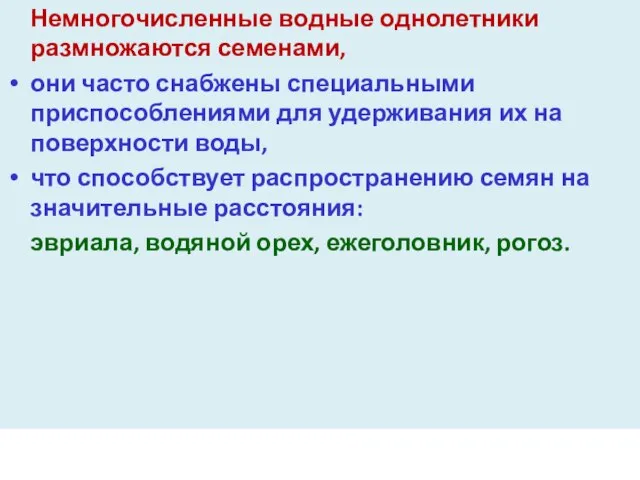 Немногочисленные водные однолетники размножаются семенами, они часто снабжены специальными приспособлениями для удерживания