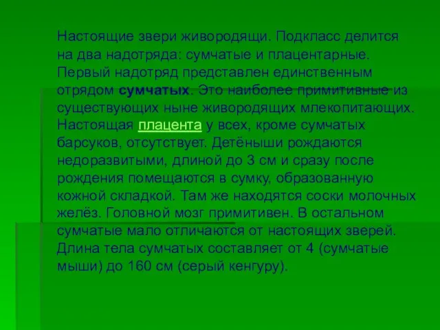 Настоящие звери живородящи. Подкласс делится на два надотряда: сумчатые и плацентарные. Первый