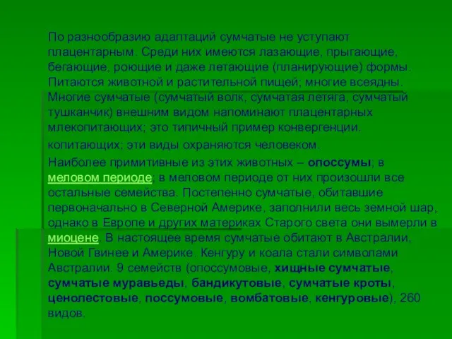 По разнообразию адаптаций сумчатые не уступают плацентарным. Среди них имеются лазающие, прыгающие,