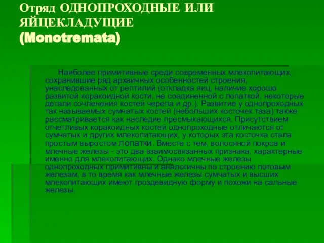 Отряд ОДНОПРОХОДНЫЕ ИЛИ ЯЙЦЕКЛАДУЩИЕ (Monotremata) Наиболее примитивные среди современных млекопитающих, сохранившие ряд