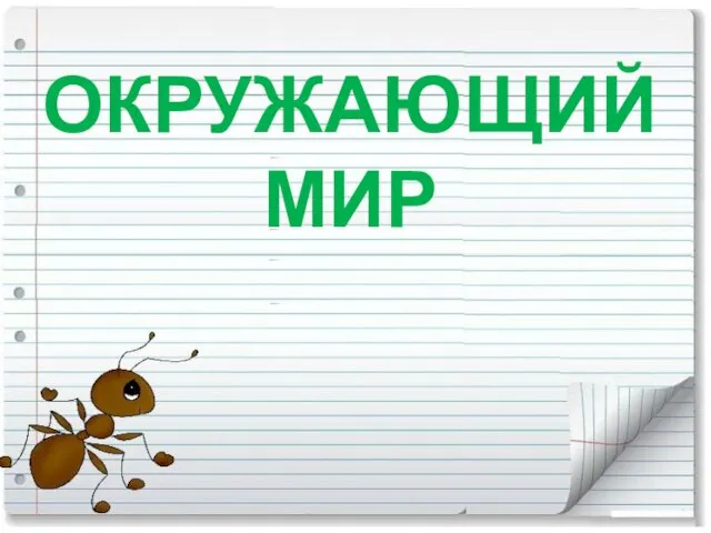 ОКРУЖАЮЩИЙ МИР