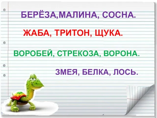 БЕРЁЗА,МАЛИНА, СОСНА. ЖАБА, ТРИТОН, ЩУКА. ВОРОБЕЙ, СТРЕКОЗА, ВОРОНА. ЗМЕЯ, БЕЛКА, ЛОСЬ.