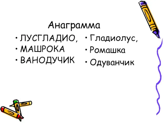 Анаграмма ЛУСГЛАДИО, МАШРОКА ВАНОДУЧИК Гладиолус, Ромашка Одуванчик